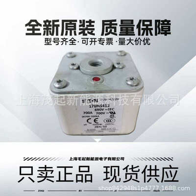 170M5412 170M5413 170M5414 170M5415 170M5416 巴斯曼熔断器