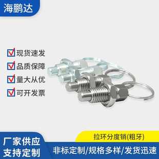 拉环分度销旋钮柱塞拔位拉销粗牙分度定位销不锈钢镀锌