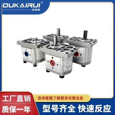 齿轮液压油泵总成CBT-F310 CBN-F304/F306/F316/E314/320/325FER2