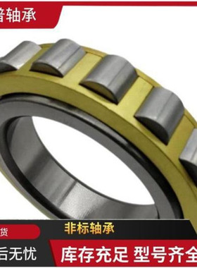 天马TMB轴承RN219EM RN312EM RN228EM  减速机轴承 无外圈轴承