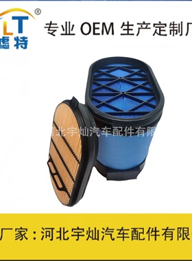 蜂窝滤芯P608665 AF4203 CA5278 36539600 P6061220890661P608666