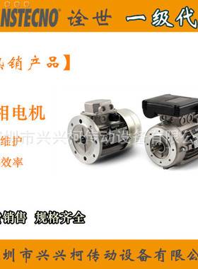MS5624电机  TRANSTECNO减速机 诠世电机