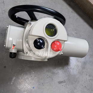 整体型电动执行器 置 供应DZW90 24Z智能型机电一体化阀门电动装