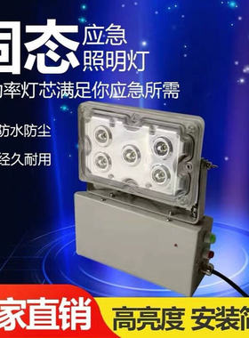 NFE9178固态免维护应急灯 变电站配电房照明灯 GAD605-JLED低顶灯