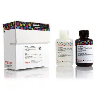 THERMO 34094 34096超敏底物SuperSignal West Femto