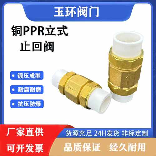 全铜PPR热熔双活接立式止回阀20不锈钢弹簧铜芯阀门25PE自来水管