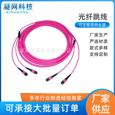 MPO/MTP-MPO/MTP 24芯 3米万兆100G MTP光纤跳线