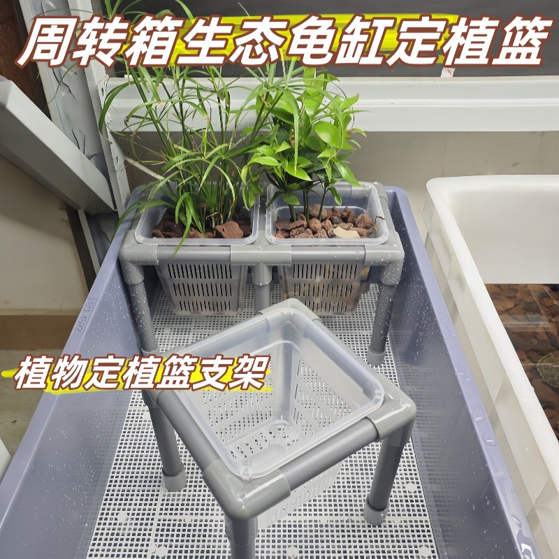 周转箱生态龟缸植物定植篮支架水培支架龟箱造景绿植种植盒架子图片