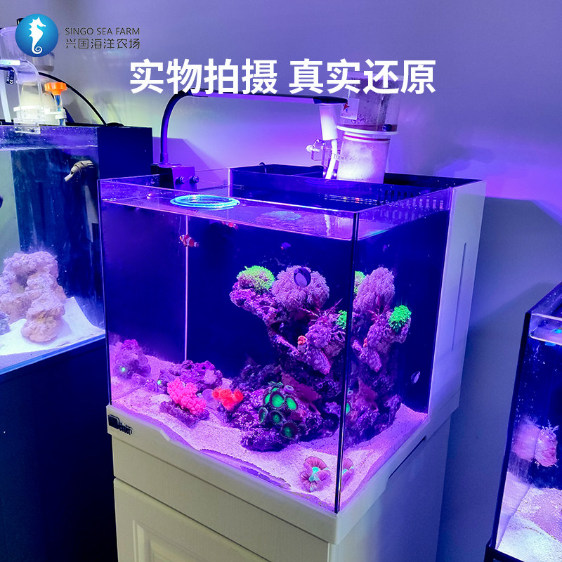 海水鱼缸 背滤低柜全套 小型海水缸珊瑚缸套装 水族箱新手缸侧滤