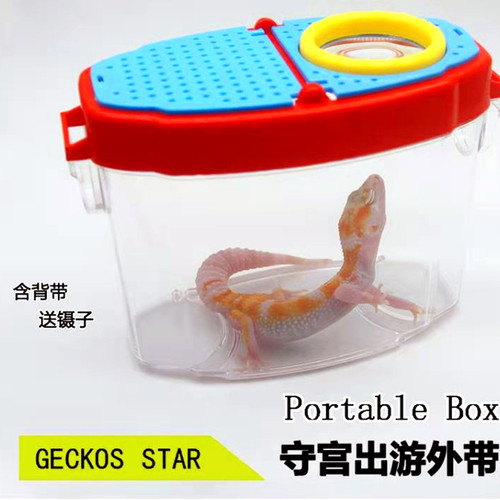 爬宠饲养盒蛇龟蜘蛛豹纹守宫蜥蜴昆虫角蛙出游户外外带盒随身挎包
