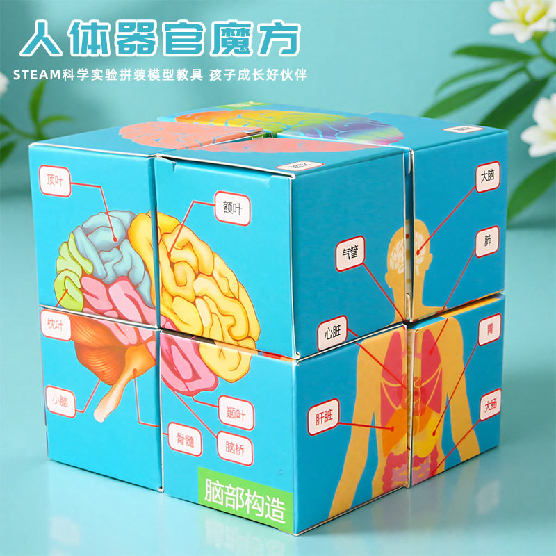 幼儿童手工科学实验DIY认识人体器官魔方科技小制作教具材料包