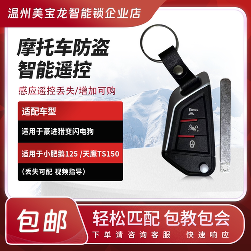 豪进摩托小肥鹅闪电狗摩托车钥匙