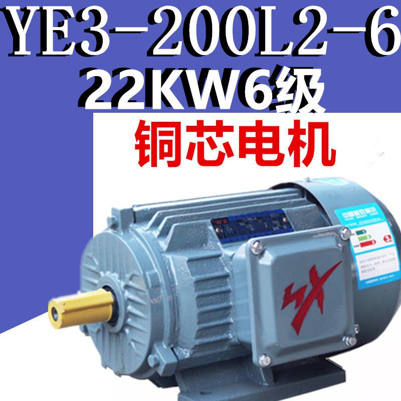 22W6级电机YE3-200L2-6极三相异步电动机千瓦国标铜380V二级X3E2