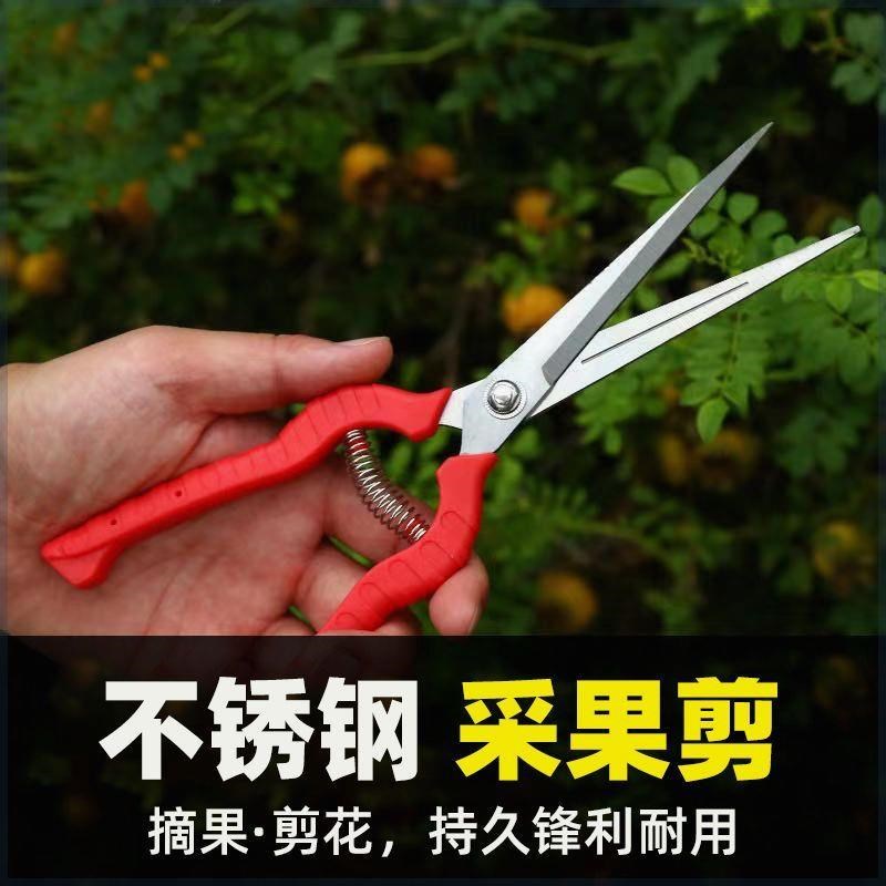 果子修剪枝采果剪摘果剪花椒剪采摘果蔬剪刀花剪蔬W果葡萄粒剪刀