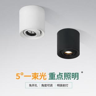一束聚光射灯5度8度防眩酒吧茶几餐桌氛围重点照明吸顶式 明装 W5W