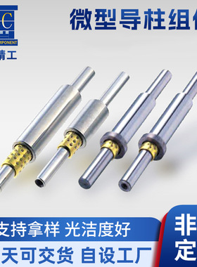 微型滚珠衬套导向轴用滚珠滑套微型小导柱导套BGS,SSBGS,SSBPS