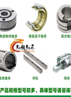 ina轴承SL045044PP2NR SL045048-D-PP2NR SL185005-A-C3