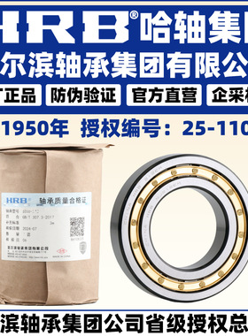 HRB哈尔滨轴承RN N NF NU NJ NUP 313 314 315 316 M EM 圆柱滚子