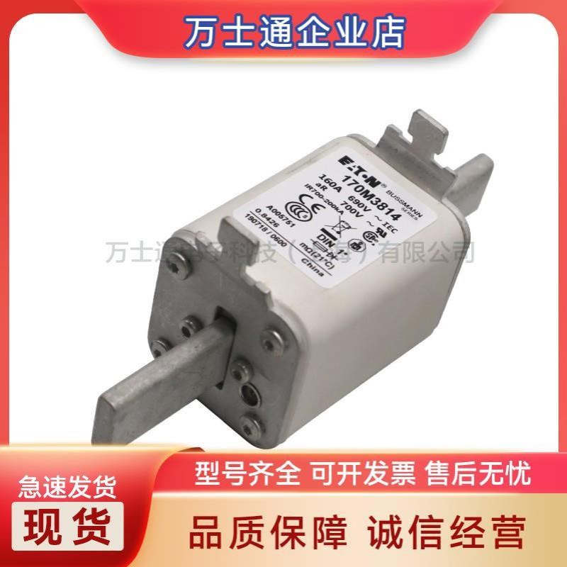 170M4208 170M4209 170M4210 170M4211 170M4212 170M4213熔断器