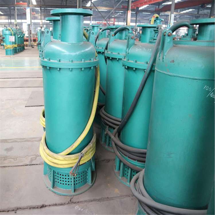 BQS150-70-55/N矿用隔爆型潜水排沙电泵 矿用潜水排沙泵