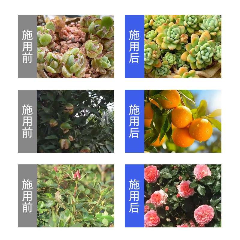 稻壳炭钾肥家庭养花种菜营养土肥料发酵稻谷T壳碳天然草木灰