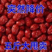 包邮 特等新疆红枣2500g新货农家自产5斤整箱零食大枣批发 新枣