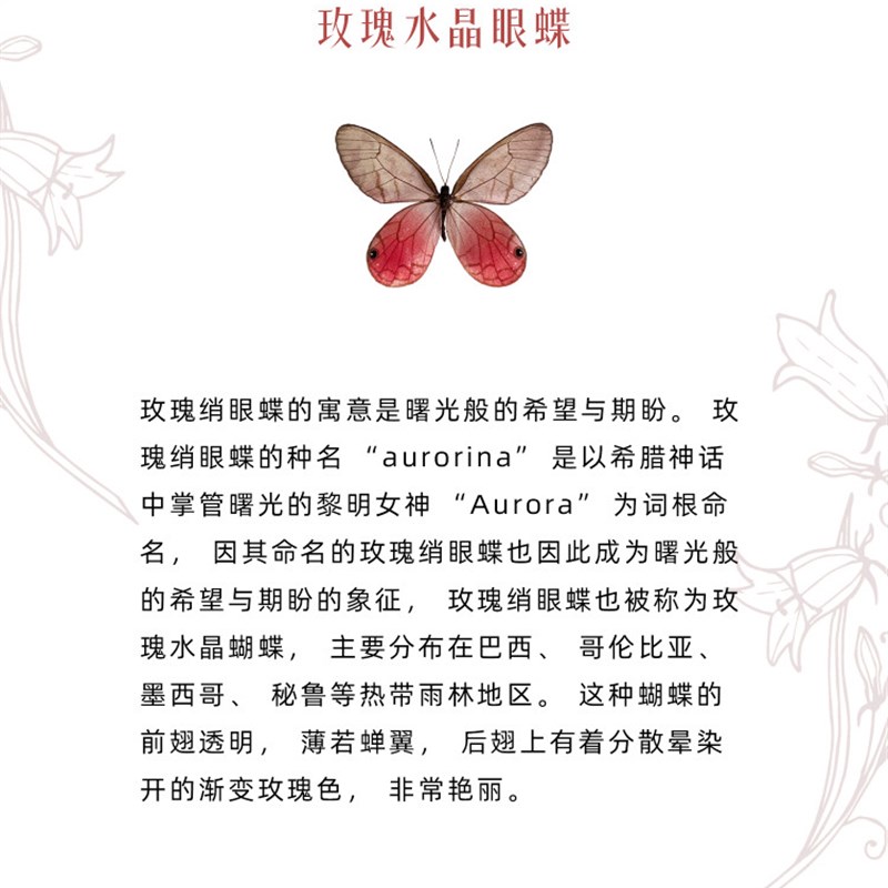 玫瑰水晶眼蝶真蝴蝶标本生日礼物氛围感摆件桌面高级小众送女友