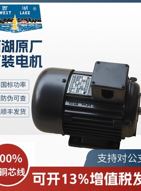 杭州西湖台钻原厂电机YS7114T YS7124T YS7134T YS-400T YS8036T