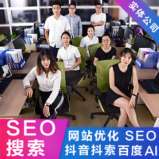 网站seo优化百度谷歌排名关键词抖音搜索引擎首页收录快照推广AI