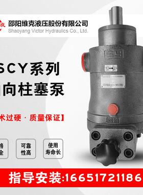 邵阳维克液压SY-10/25/32/40/63/80/100/125SCY14-1E/B轴向柱塞泵