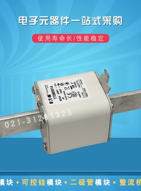 快速熔断器保险丝170M5817 5820 5847 5874 5875 5876 5881 5882