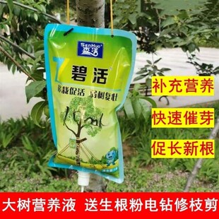 碧活树木营养液吊针液通用型移栽激活生根剂果树发根大树施它活