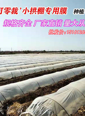 可零裁白色塑料薄膜小拱棚膜保温蔬菜大棚膜防冻防寒公路防护膜