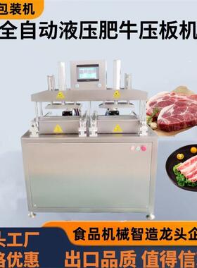 食品厂肉砖成型机碎羊肉微冻液压塑型机腌制肉块压制成型机双工位
