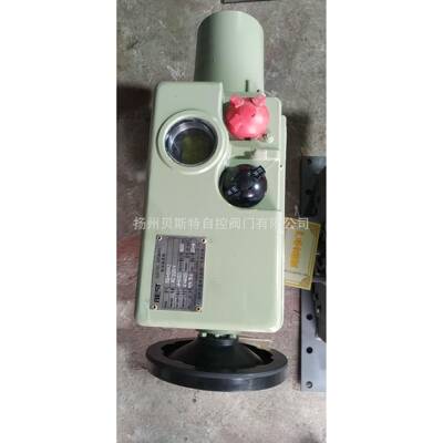 电动执行器AS-25,B+RW160,BS-60/K30Z;30s;220VAC;50HZ;4-20mA