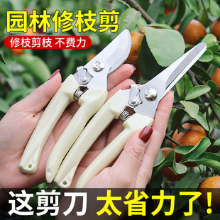不锈钢园艺剪刀工具树枝修枝剪采摘水果花木剪园林果树花卉枝嫁接
