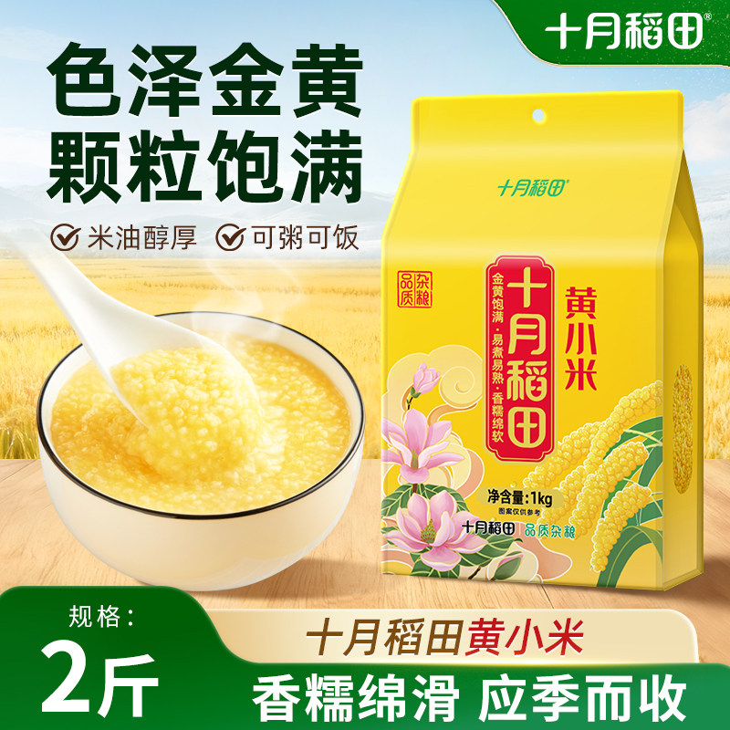 十月稻田黄小米色泽金黄煮粥煲汤粗粮早餐米油丰厚香甜软糯真空装