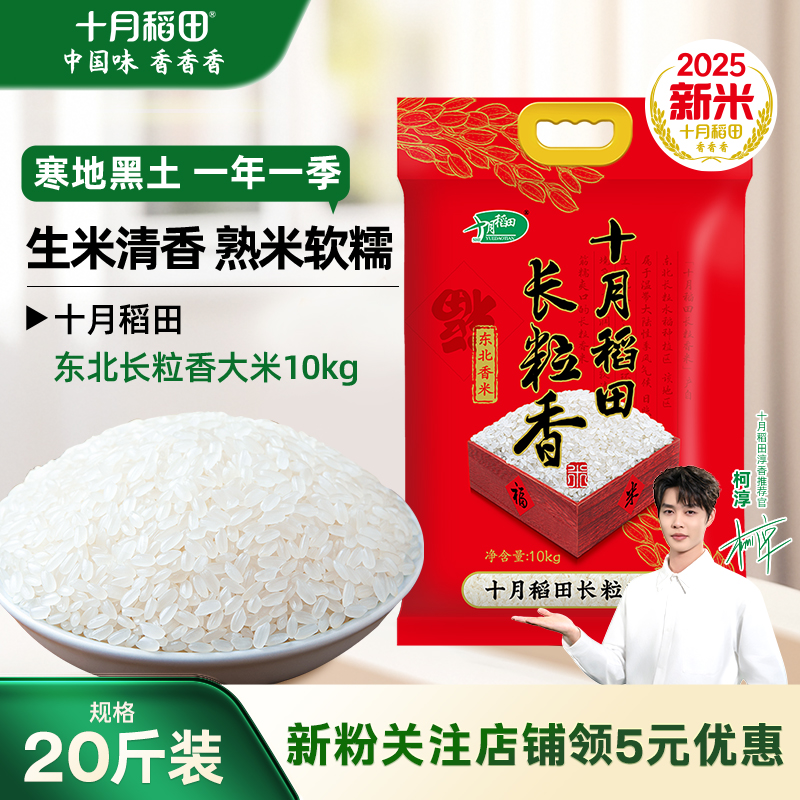 十月稻田长粒香大米东北大米