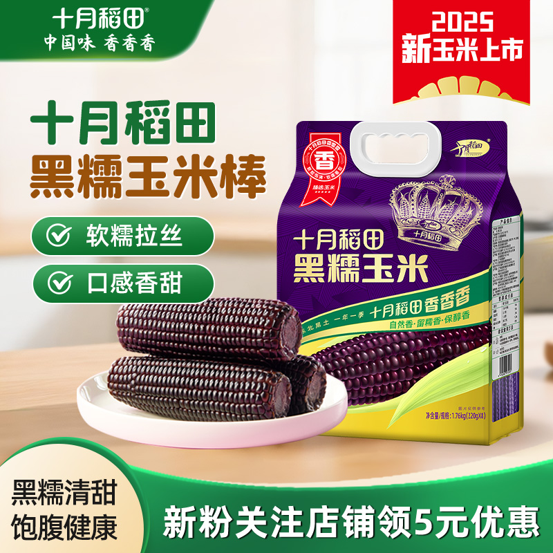 十月稻田黑糯玉米东北真空包装软糯拉丝代餐饱腹玉米