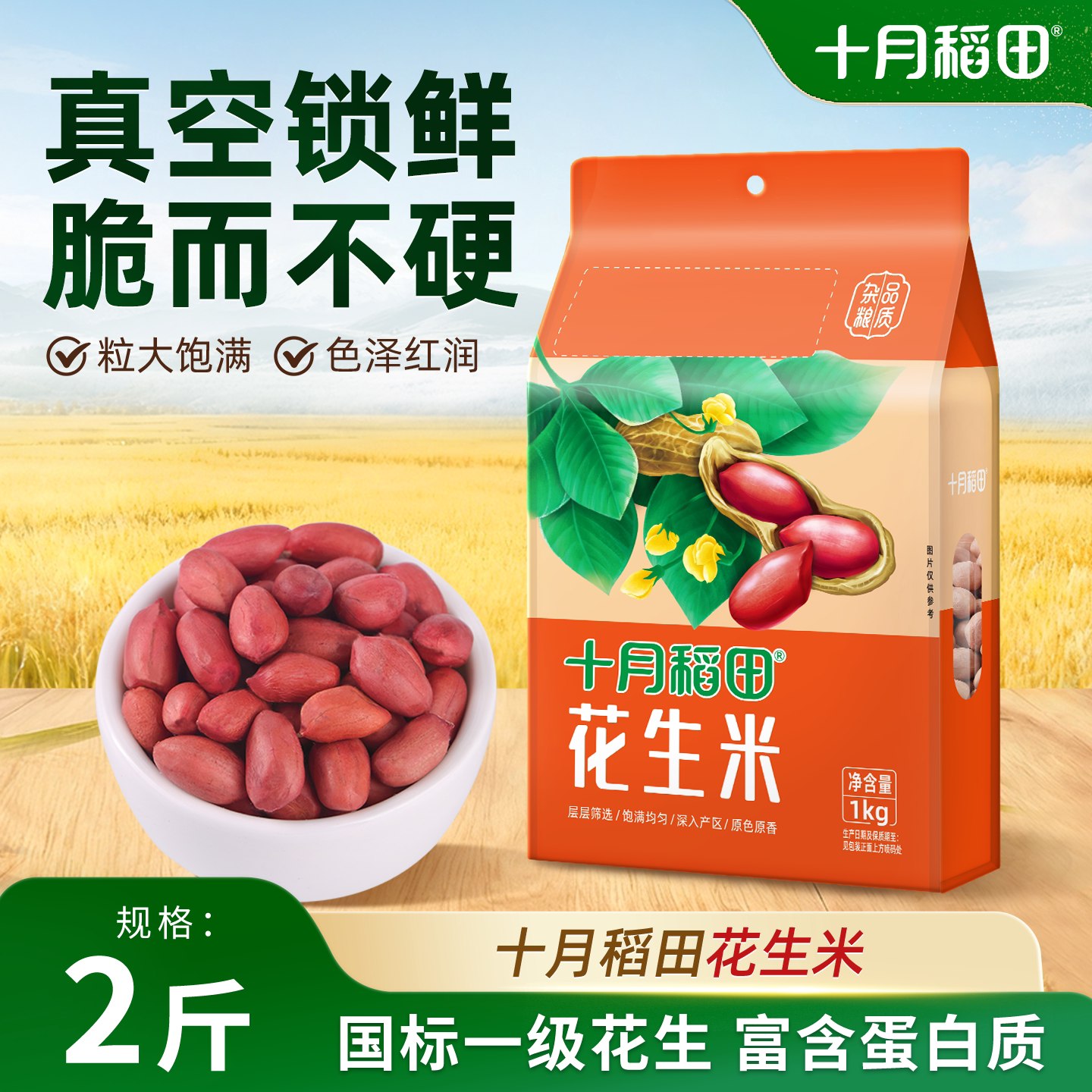 十月稻田红皮花生米五谷杂粮图片