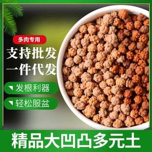 多元土多肉拌土种植铺面专用凹凸活力土透气生根精品