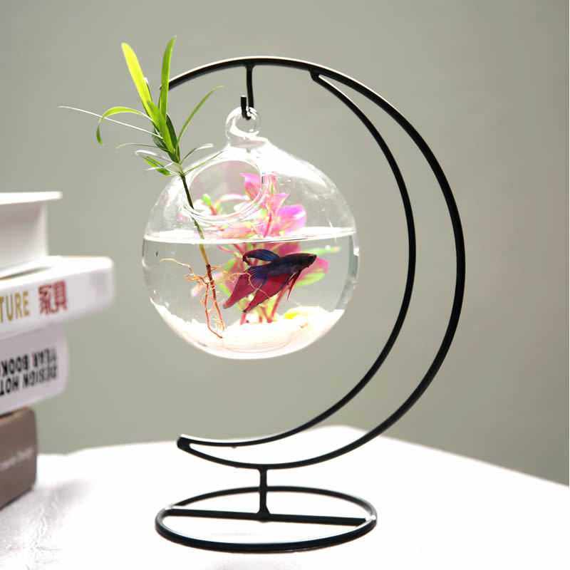 悬挂简约迷你桌面小鱼缸 透明玻璃圆形创意家居办公桌客厅斗鱼缸,鲜花速递/花卉仿真/绿植园艺,花瓶,淘宝优惠券,粉丝福利购,淘宝优惠卷