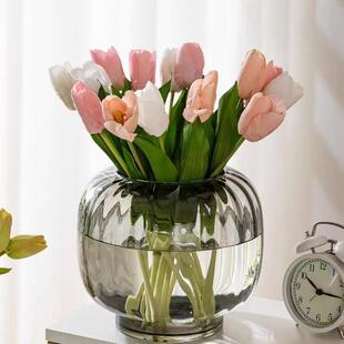 水培器皿创意玻璃花盆水养植物白掌红掌绿萝大号花瓶烟灰插花摆件