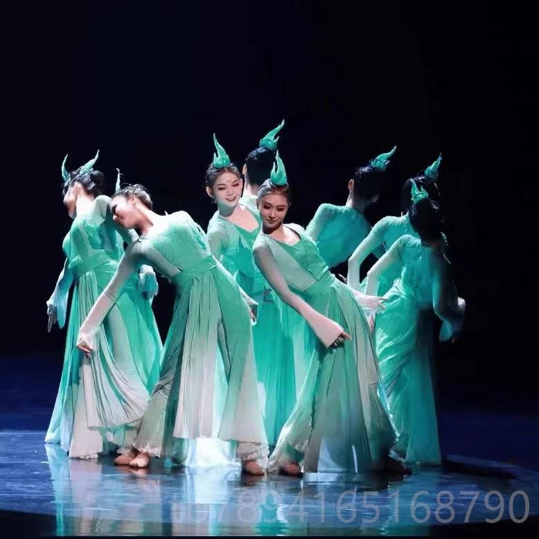 新款秋舞台水共长天蹈服女古典舞演出服女子群舞中国服风艺考舞装