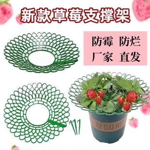 太阳花造型支架三角梅爬藤架养花支撑架昙花专用支架防腐烂园艺品