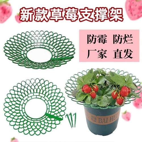 家庭草莓种植支架托架防腐烂防倒