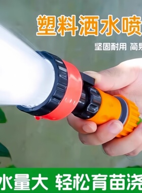 农用洒水浇地浇菜园林浇水浇花雾化育苗花洒水枪4/6分1000目喷头