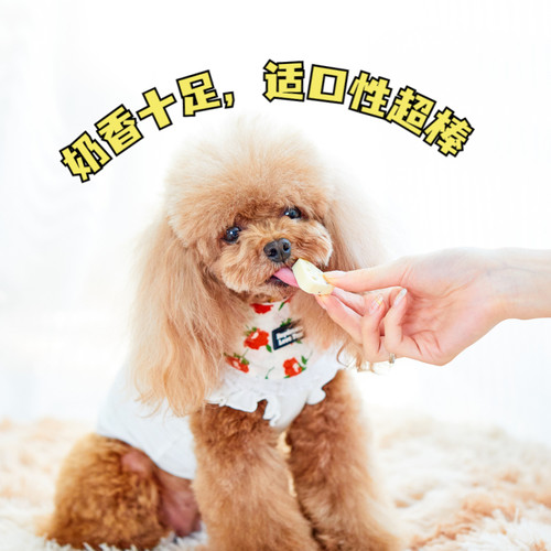 狗狗零食奶c酪块蔓越莓芝士三角小型犬泰迪博美幼猫咪拌饭拌粮训