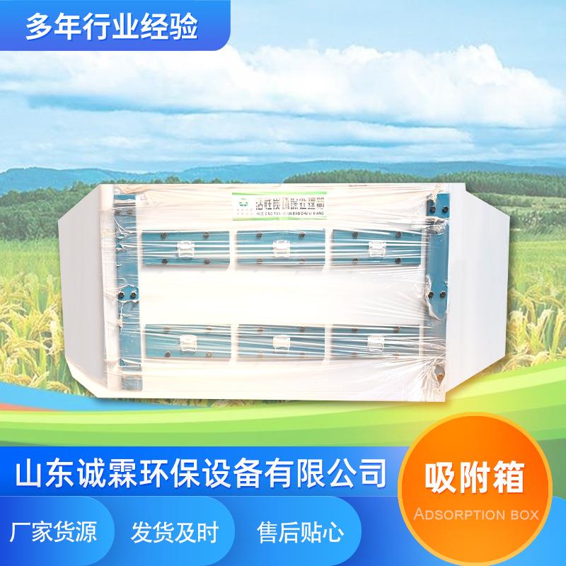 不锈钢漆雾过滤吸附箱干式过滤器pp工业废气处理设备活性炭吸附箱