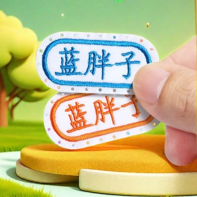 幼儿园名字贴姓名贴定制带打孔刺绣可缝儿童中Q小学校衣服标签布